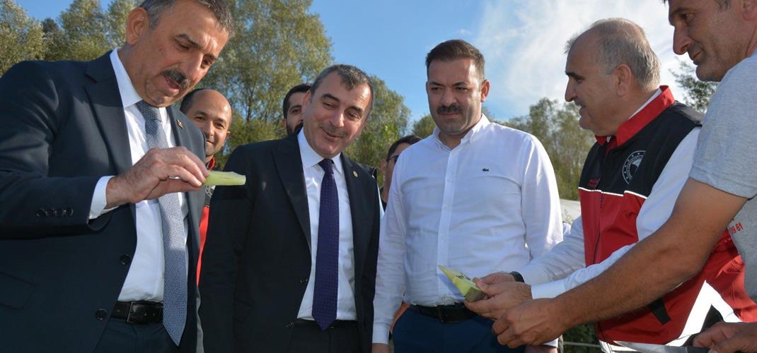 Kartopu Yem Karpuzu Tarlası Ziyareti