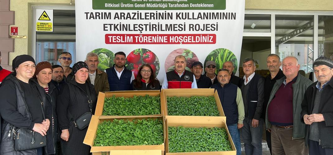 TAKE Projeleri Kapsamında Fide Dağıtımı Gerçekleştirildi